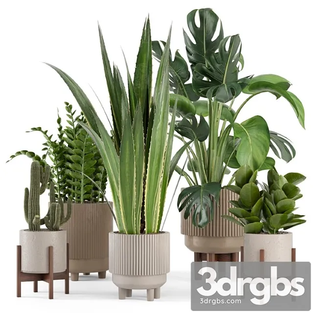 Indoor plants in standing legs small bowl concrete pot – set 245