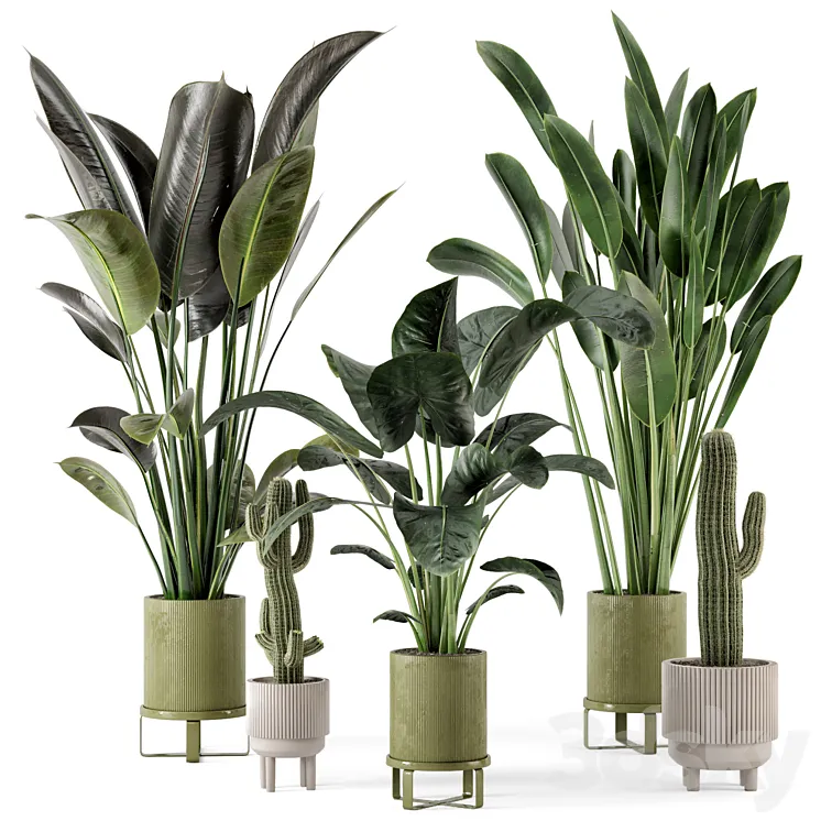 Indoor Plants in Standing Legs Small Bowl Concrete Pot – Set 325 3DS Max