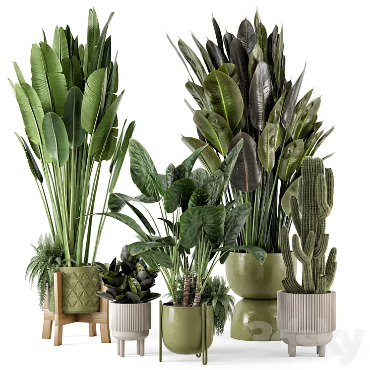 Indoor Plants in Standing Legs Small Bowl Concrete Pot – Set 563 3DS Max