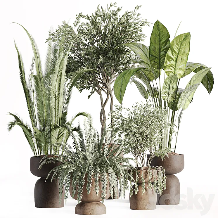 indoor plants in vase 002 3DS Max Model