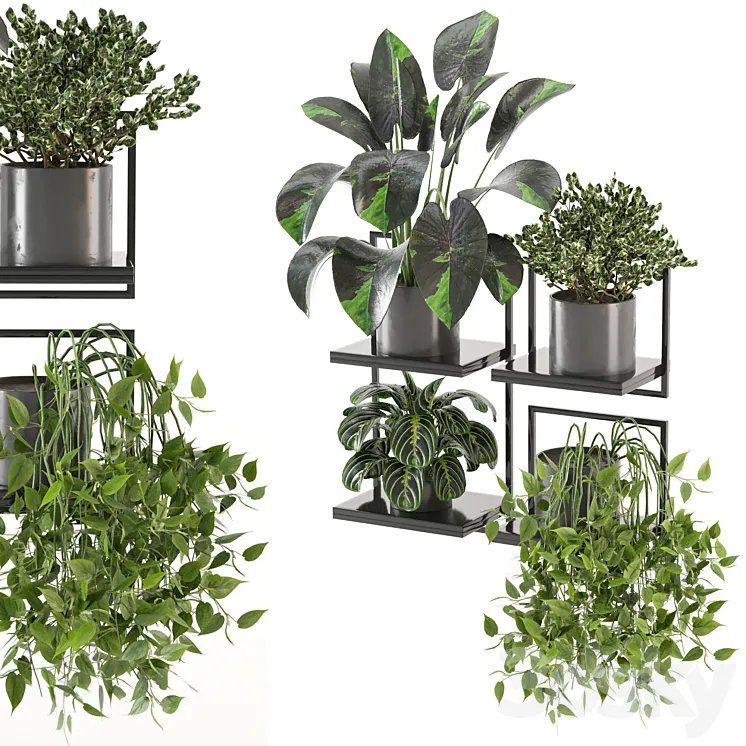 indoor plants on metal frame – Set 287 3DS Max