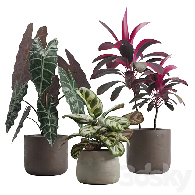 Indoor Plants Pack 14 3ds Max