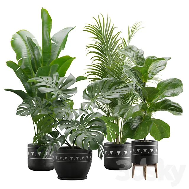 Indoor Plants Pack 17 3DSMax File