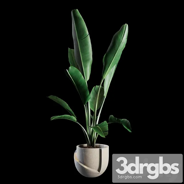 Indoor plants set 02