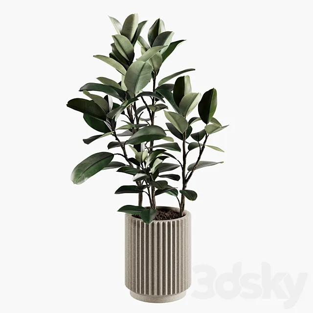 Indoor Plants Set 06 3DS Max Model