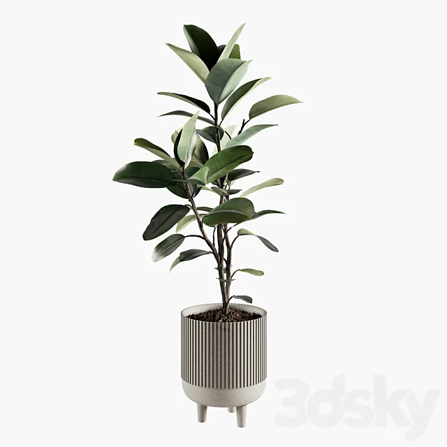 Indoor Plants Set 07 3ds Max