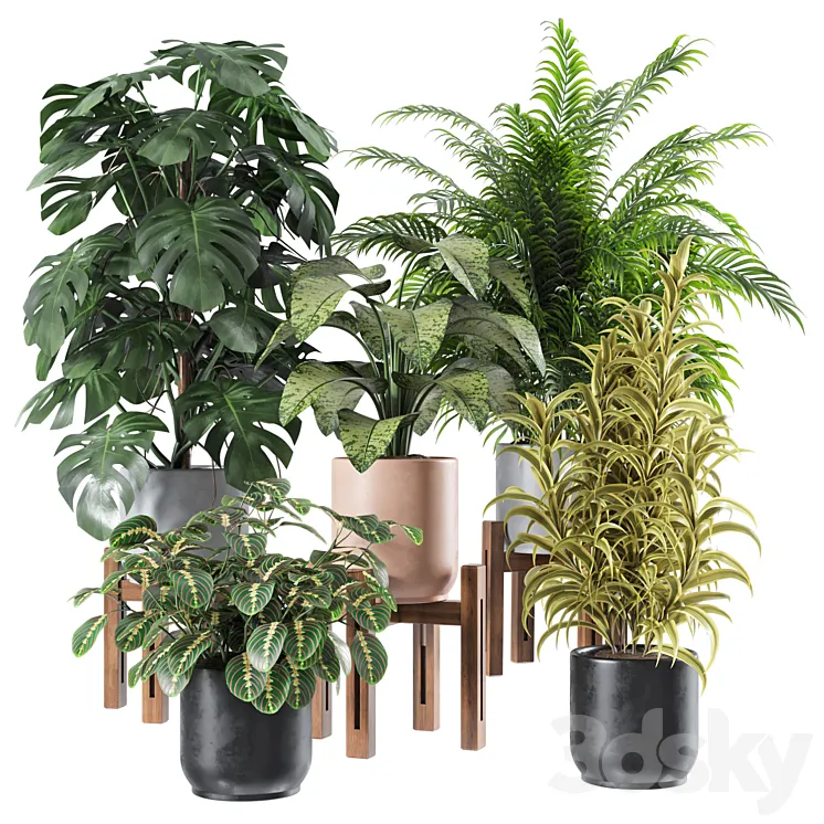 Indoor Plants Set 1 3DS Max Model
