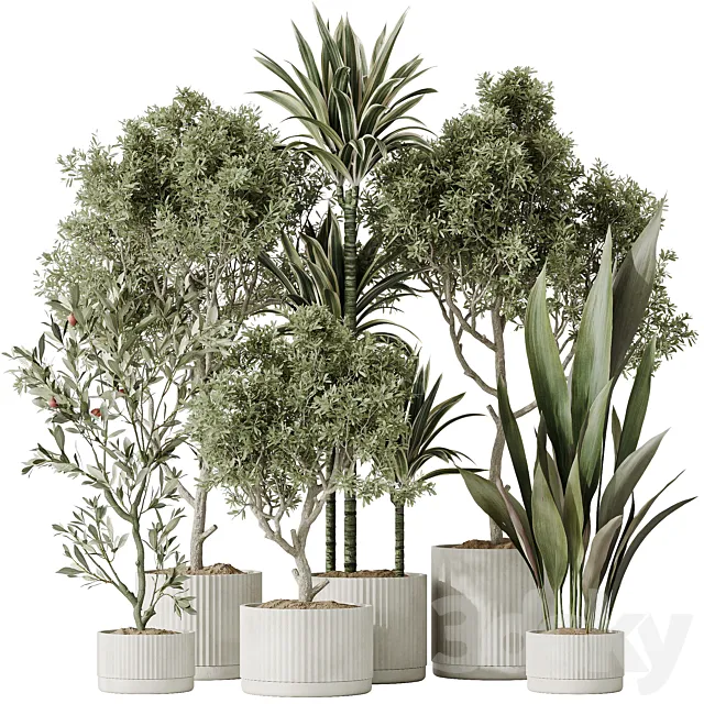 Indoor plants set 63 3ds Max