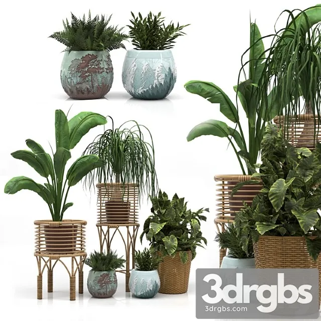 Indoor plants set