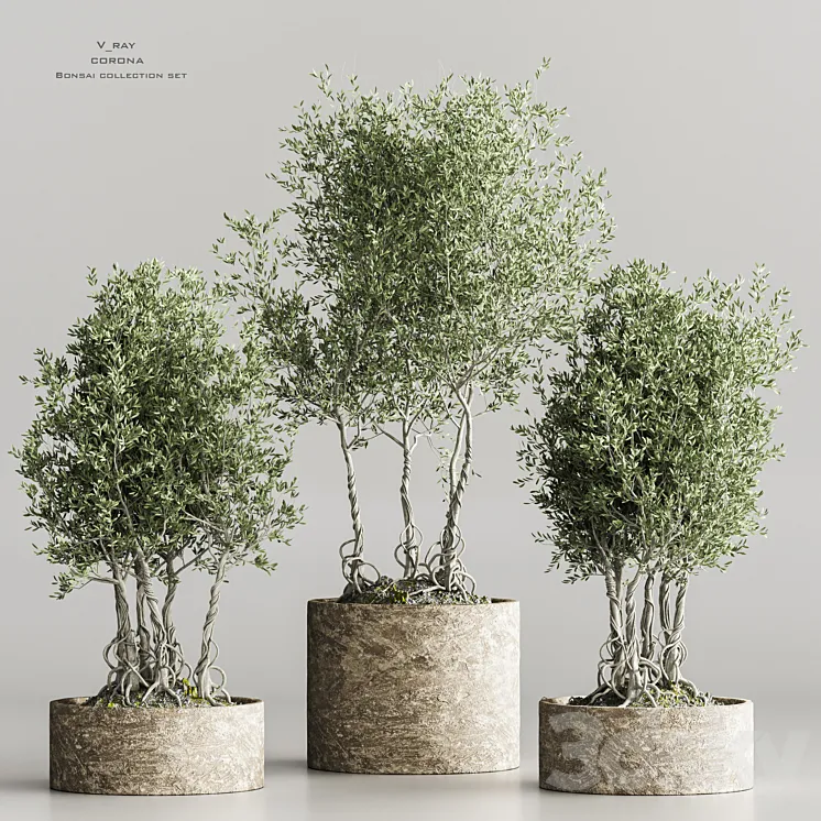 indoor_plant collection set vol 71 3DS Max Model