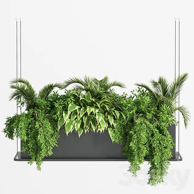 Indoor_Plant_Set_32_ (Hanging_Plants) 3ds Max