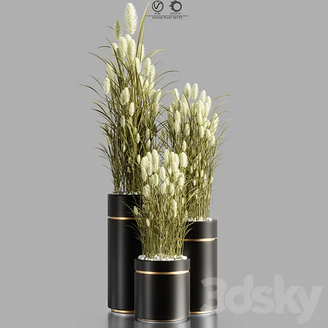 Indoor_Plant_Set_81 3ds Max