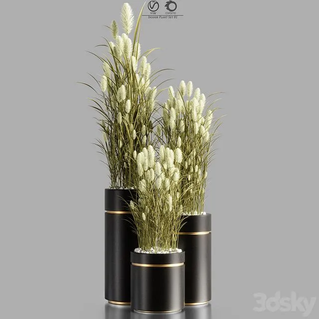 Indoor_Plant_Set_81 3dsMax Model