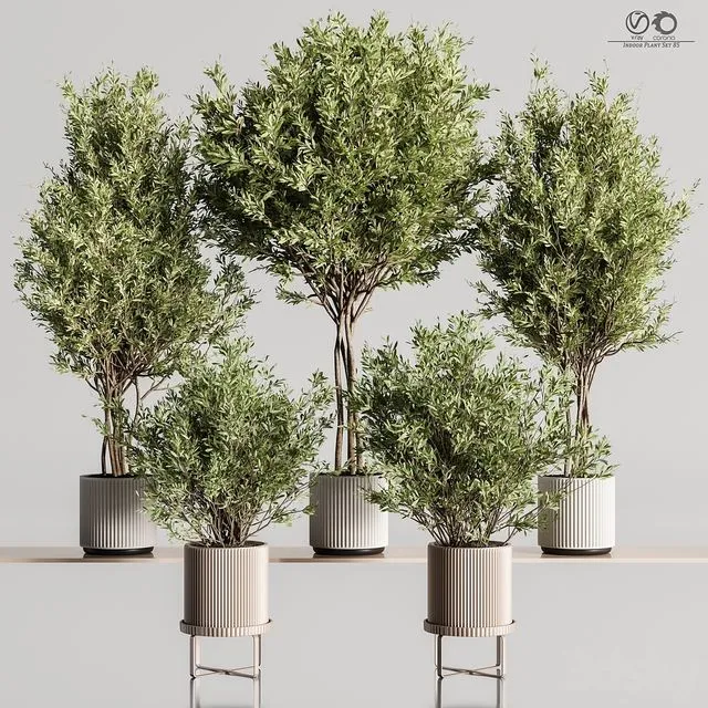 Indoor_Plant_Set_85 3dsMax Model