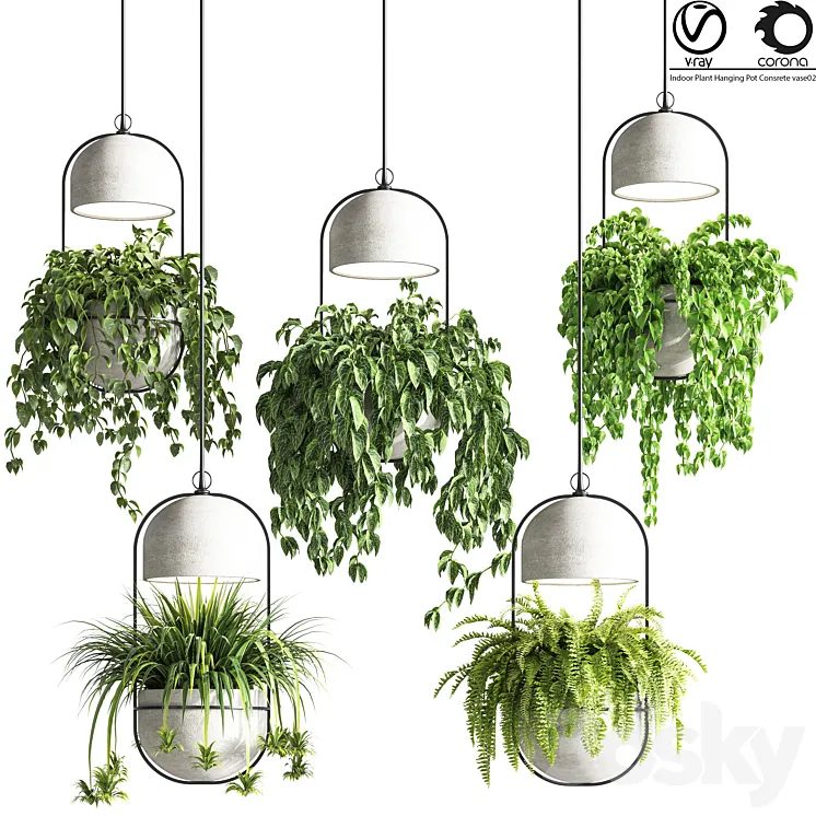 indoor_plants_hanging_pot_concrete_vase_02 3DS Max