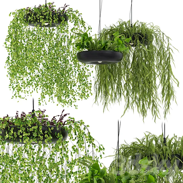 Indrid Decorative Plants Black Light By Lightmakers 3ds Max