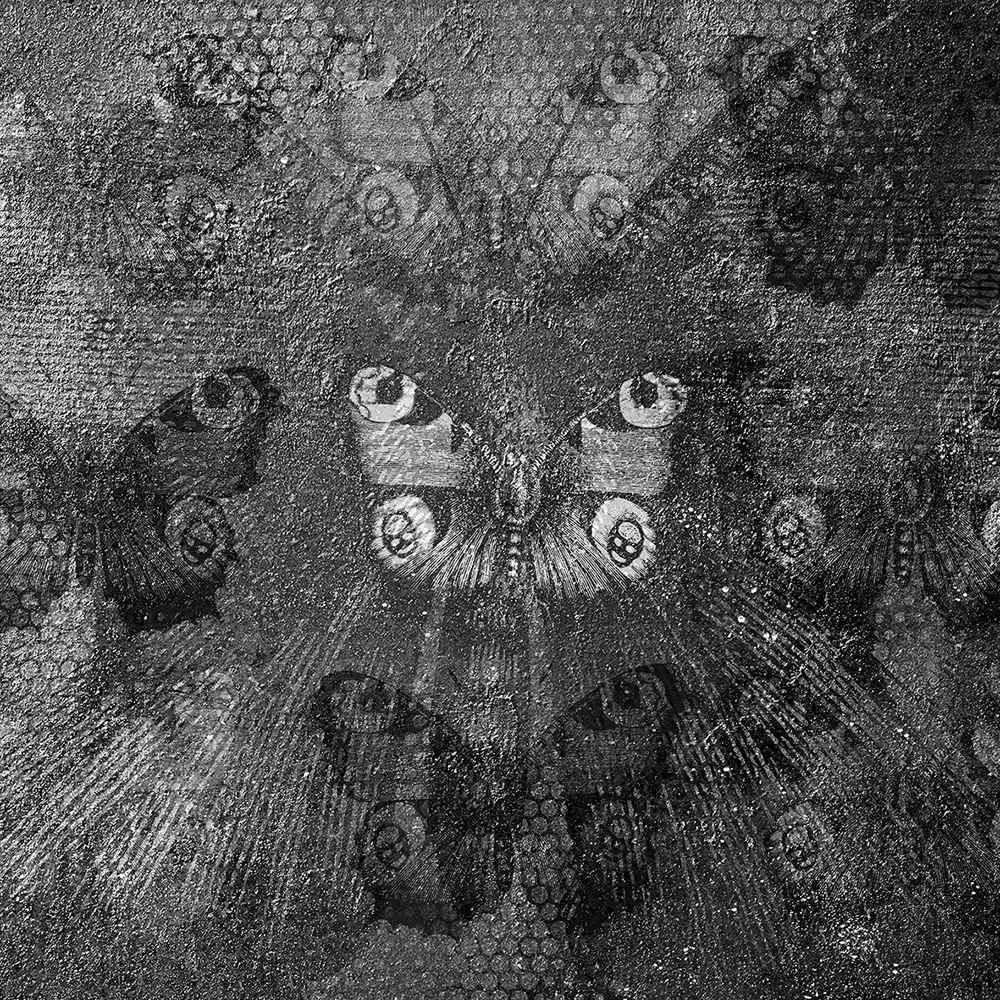 INSTABILELAB – Wallpaper The Butterfly 3ds Max