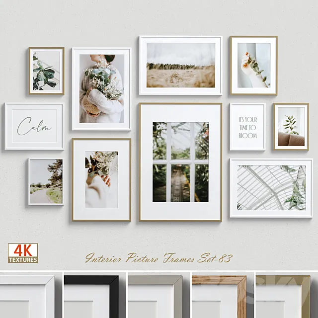 Interior Picture Frames Set-83 3DS Max Model