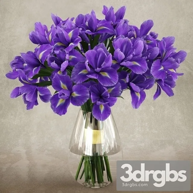 Iris Bouquet 3dsmax Download
