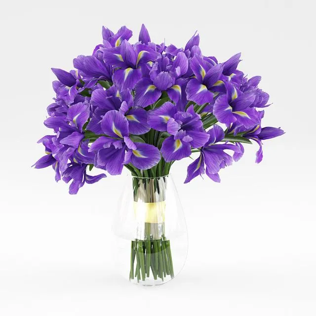 Irises 1 3dsMax Model