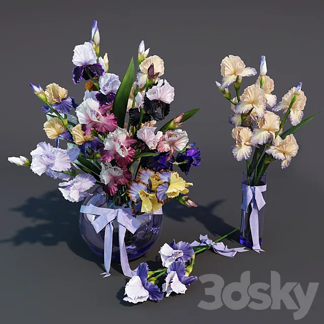 Irises 3DS Max Model