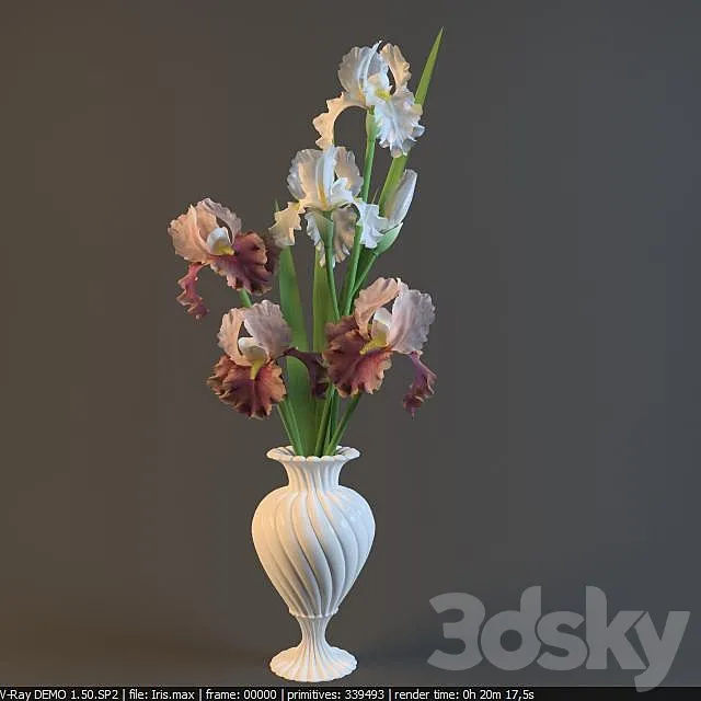 Irises in a vase 3DSMax File
