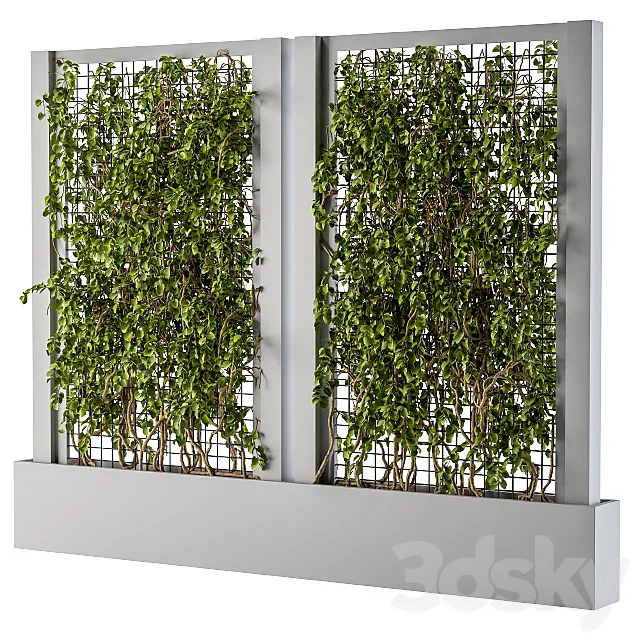 ivy Box Plants Gray 3ds Max