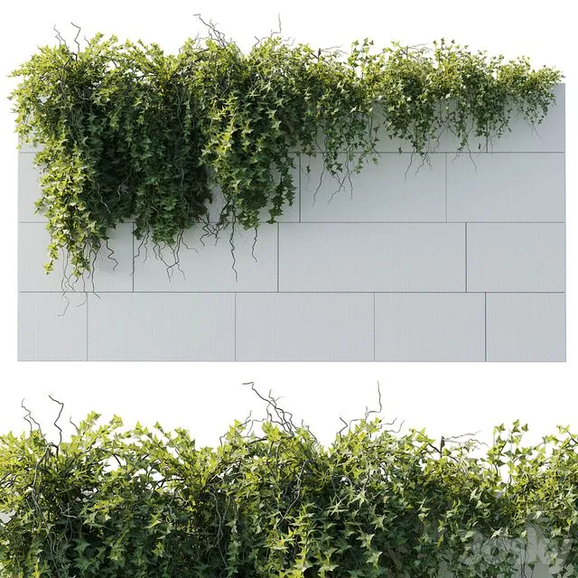 ivy hanging from the wall – outdoor plants set 173 3dsMax Model