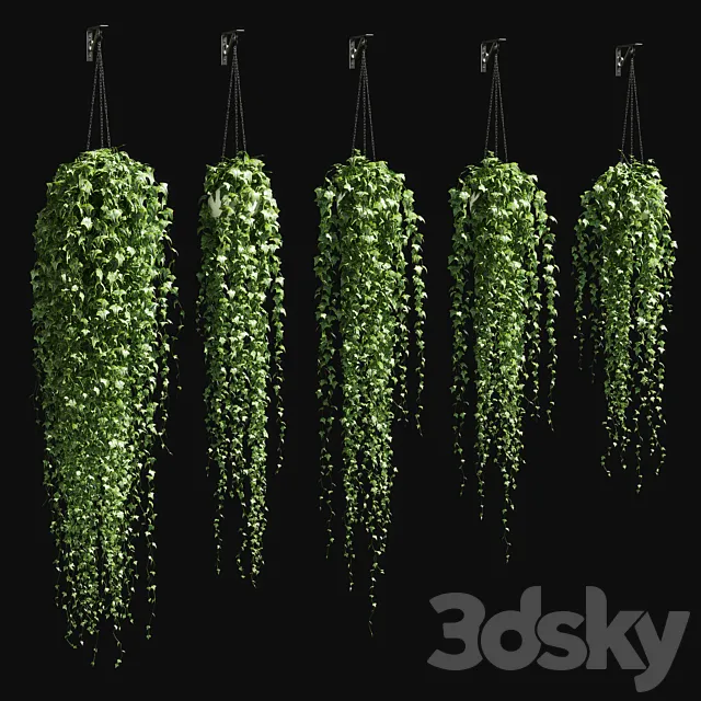 Ivy in a pot on the chain v3 3DSMax File