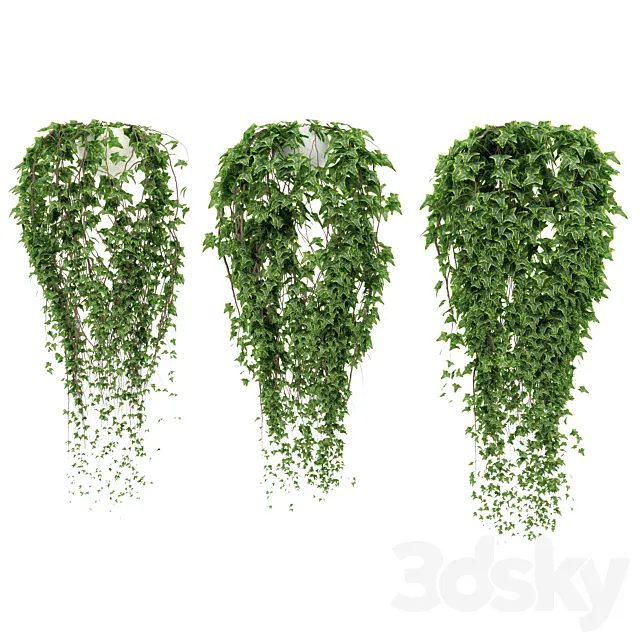 Ivy in pot 3DSMax File