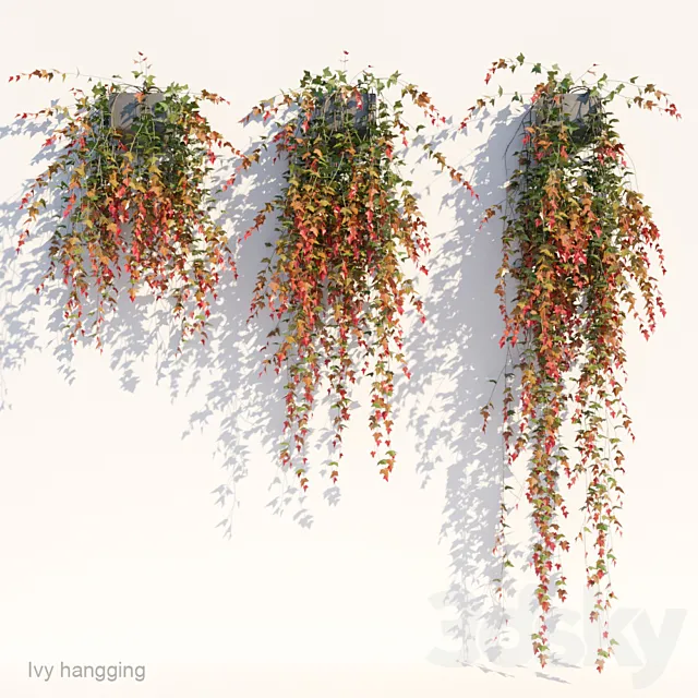 Ivy in pot hanging V1 3ds Max