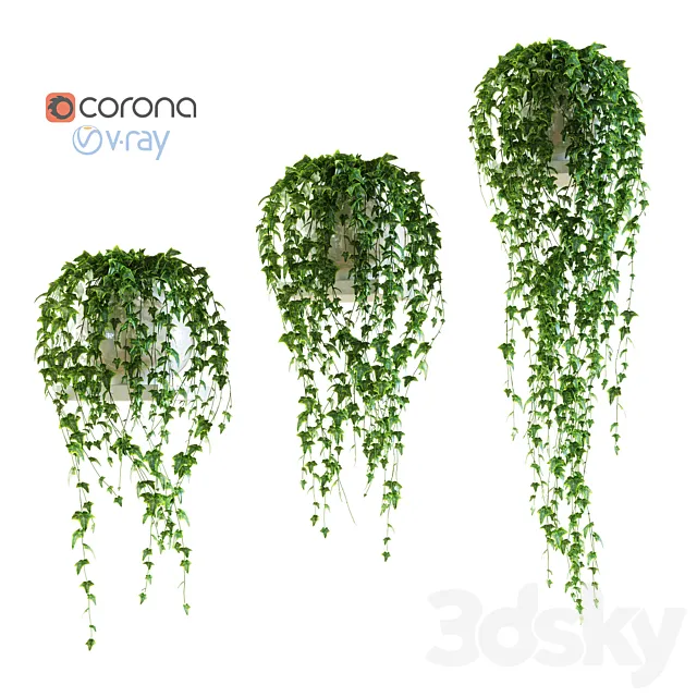 Ivy on a shelf in a pot 3DSMax File