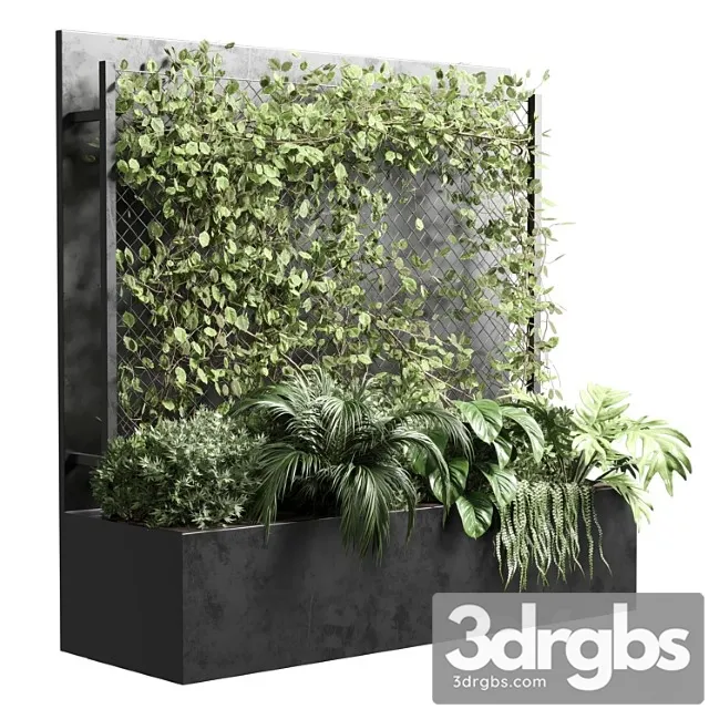 Ivy on Fence Fitowall Vertical Garden Box 01 3dsmax Download