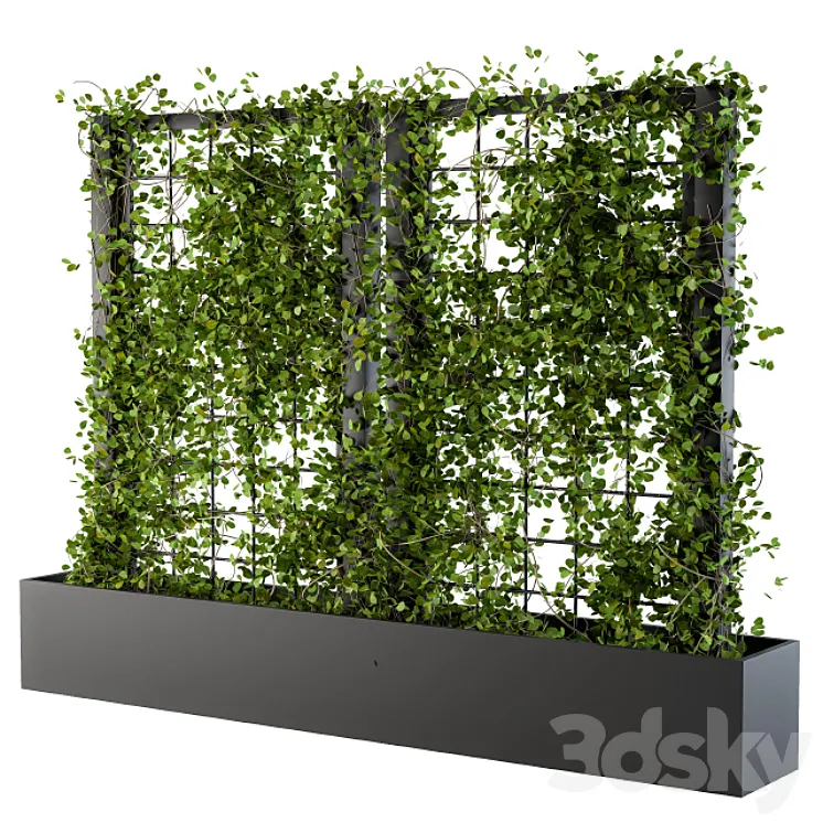 Ivy on grid 2 3DS Max