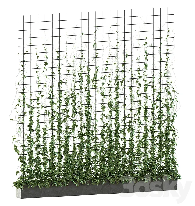 Ivy on the grid v2 3ds Max