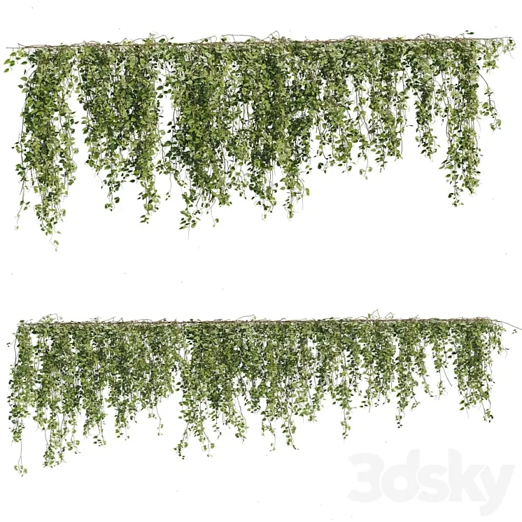 Ivy Plants 05 3DS Max Model