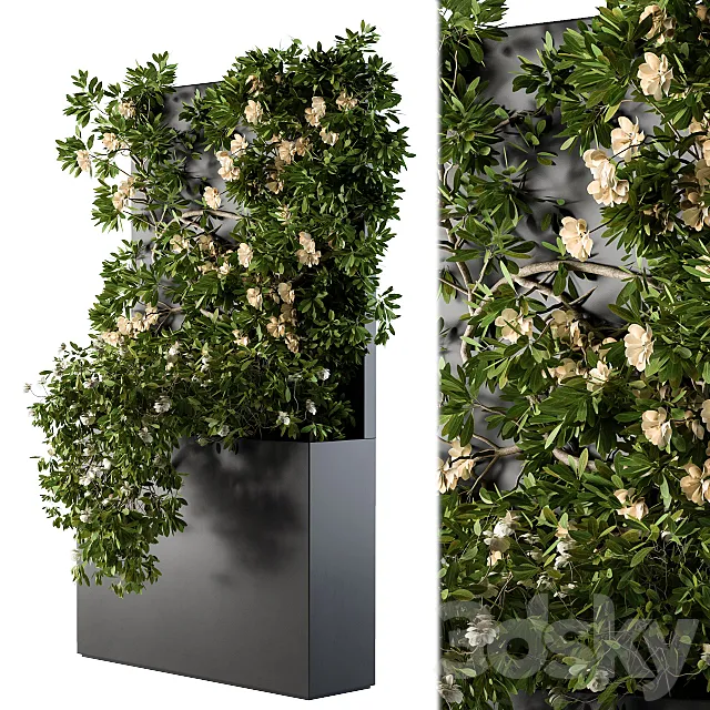 Ivy Plants Box with Flower 02 3ds Max