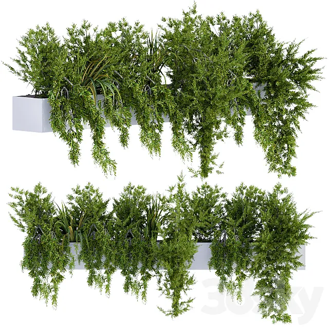 ivy plants in box 3ds Max