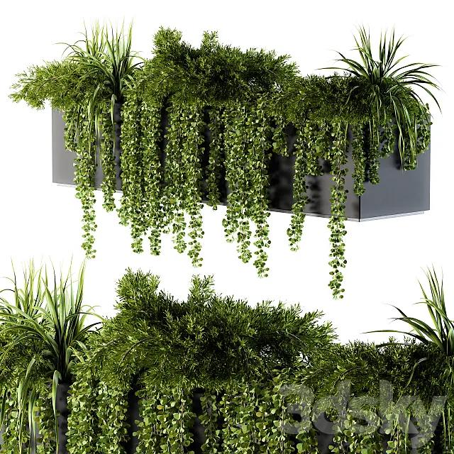 ivy plants in box – Outdoor Set 62 3DS Max Model