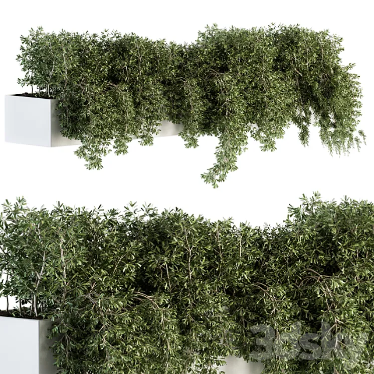 ivy plants in box – Outdoor Set 80 3DS Max