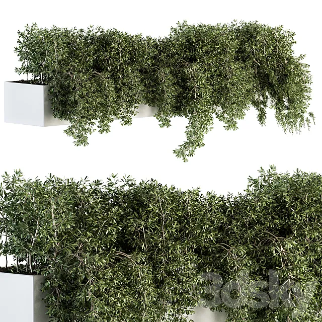ivy plants in box – Outdoor Set 80 3DSMax File