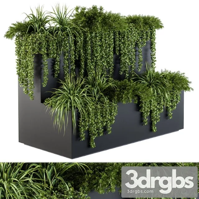 Ivy Plants In Box Set 61 3dsmax Download