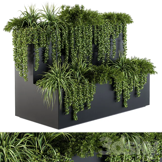 ivy plants in box – Set 61 3DS Max Model