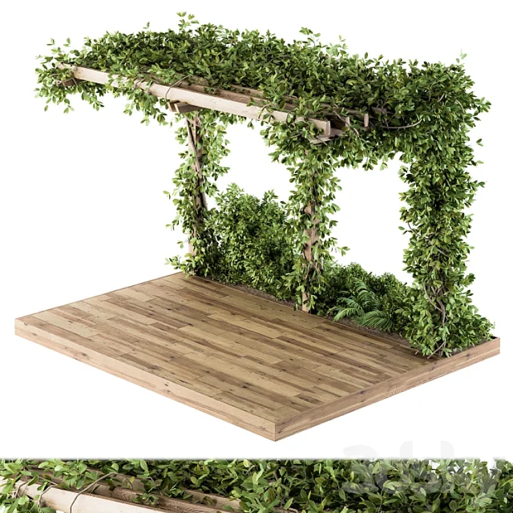 Ivy Plants on Pergola 3DS Max