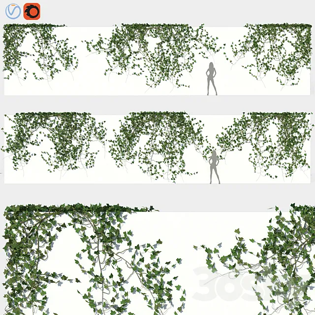 Ivy Wall 03 3ds Max