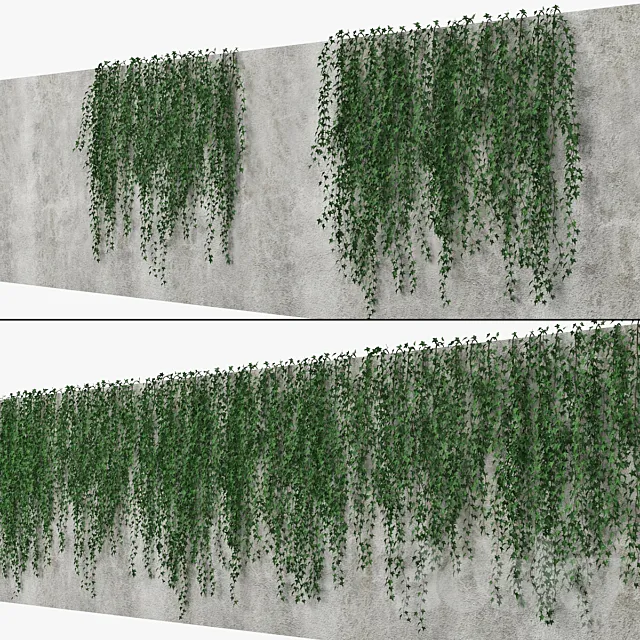 Ivy wall 09 3DS Max Model