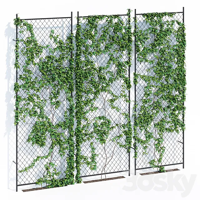 Ivy wall 3DS Max Model