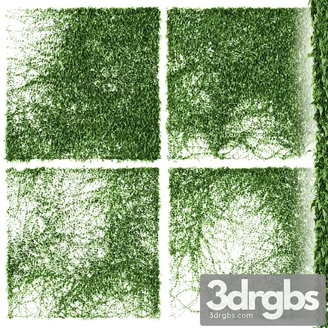 Ivy Wall 4 Models V3 3dsmax Download