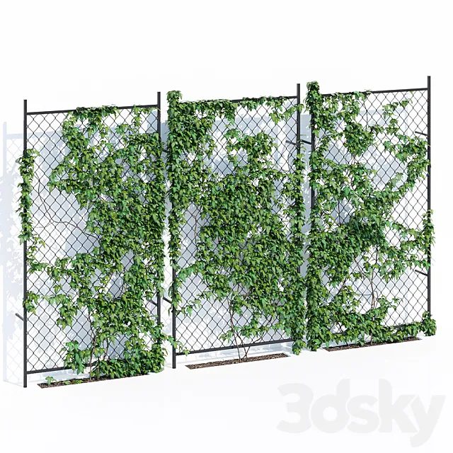 Ivy wall two 3DS Max Model