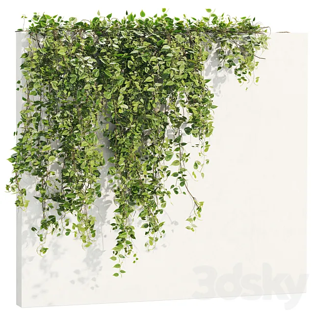 Ivy_Plants_18 3ds Max